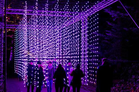 Lightscape Kicks Off Friday At Chicago Botanic Garden - CBS Chicago