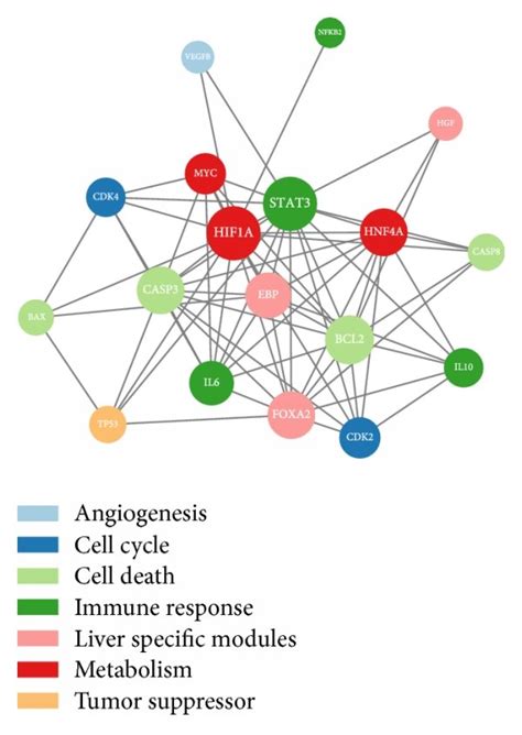 Gene regulatory networks occurring during the progression of human lung... | Download Scientific ...