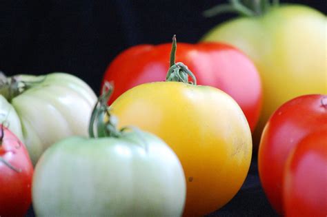 How To Blanch Tomatoes - Bakin' Care Of Business