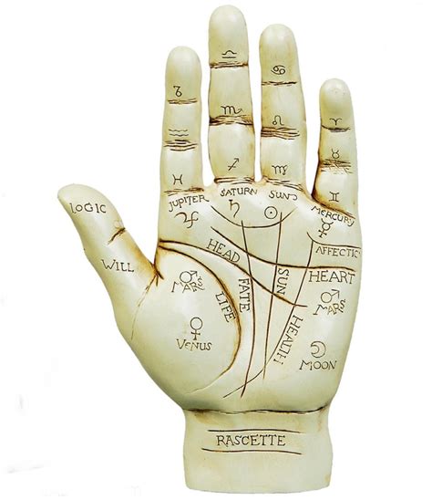 Palmist, Top Palmist, Famous Palmist, Expert Palmist, Scietific Palmist ...