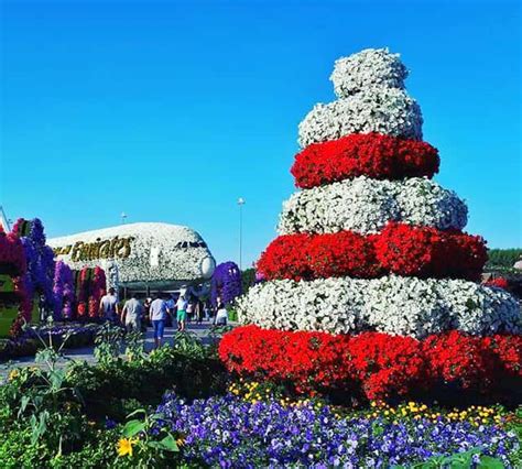Colorful Fountains at Dubai Miracle Garden