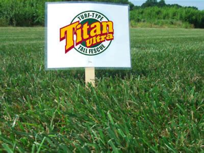 Yard, Garden & Outdoor Living Plants, Seeds & Bulbs Seeds & Bulbs 10 Lb. Titan Rx Turf Type Tall ...