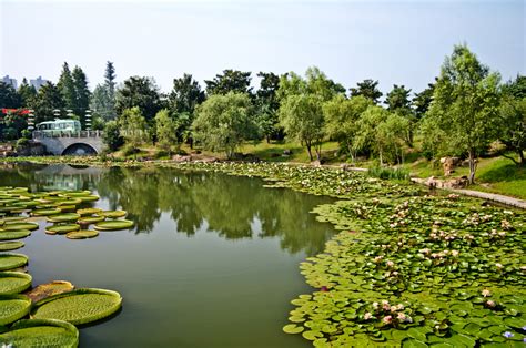 Hefei, Destinations Travel Guide | Things To Do in Hefei | Jetstar