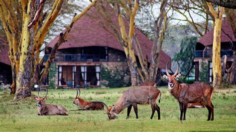 Lake Naivasha Sopa Resort - Home