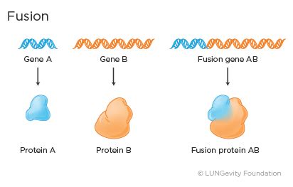 Targeted Therapy | LUNGevity Foundation