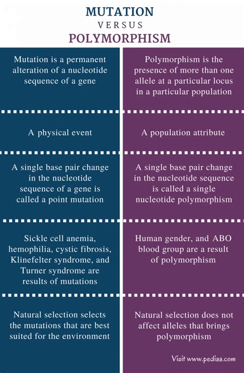 Difference Between Mutation and Polymorphism | Definition, Causes, Types, Features