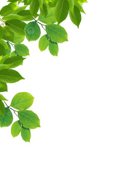 Green Leaf Border Background Wallpaper Image For Free Download - Pngtree