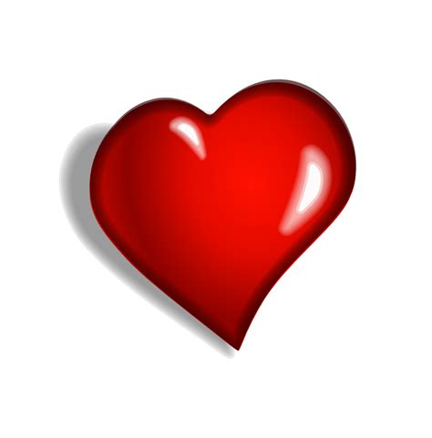 Heart PNG image, free download