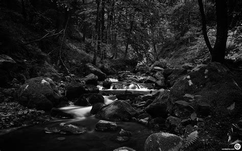 Download Stream River Forest Scenic Landscape Photography Black & White HD Wallpaper by ...
