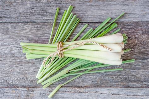 Five Flavorful Lemongrass Uses