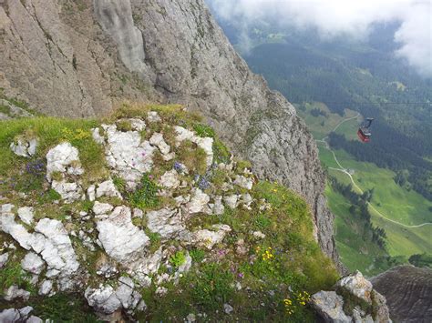 Elevation of Schluchberg, Wolfenschiessen, Switzerland - Topographic Map - Altitude Map