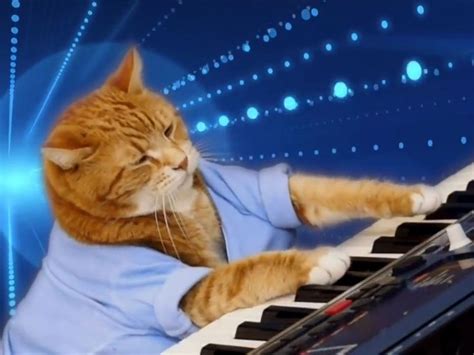 Keyboard Cat Meme - 54+ Koleksi Gambar