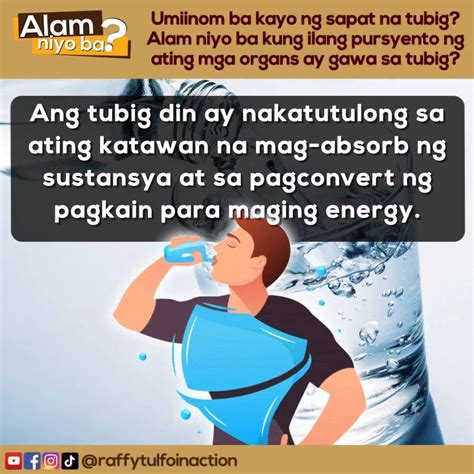 Kahalagahan ng tubig sa ating katawan | Alamin kung ilang porsyento ng ...