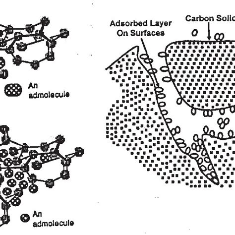 Adsorption processes in activated carbons: Transfer of adsorbate ...