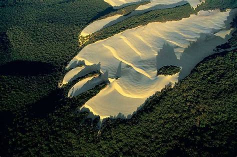 Travelling Sand Dunes of Fraser Island | Amusing Planet