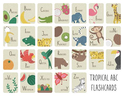 Tropical alphabet cards for children. Cute cartoon ABC set with exotic animals, birds, fruits ...