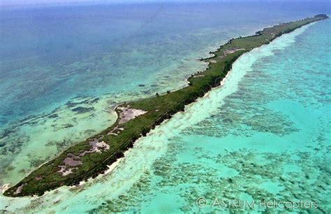 Leonardo's DiCaprio's Island Eco-Resort in Belize Passes Environmental ...