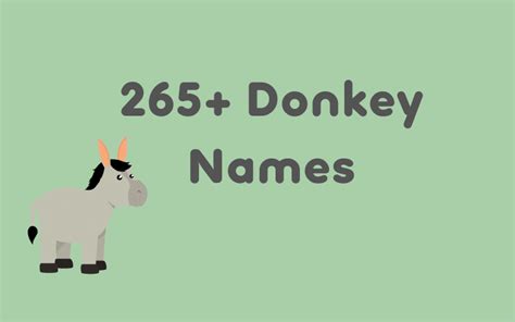 265+ Baby Donkey Names - Cute & Funny Ideas - Equine Desire