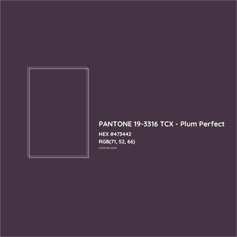 PANTONE 19-3316 TCX - Plum Perfect Complementary or Opposite Color Name and Code (#473442 ...