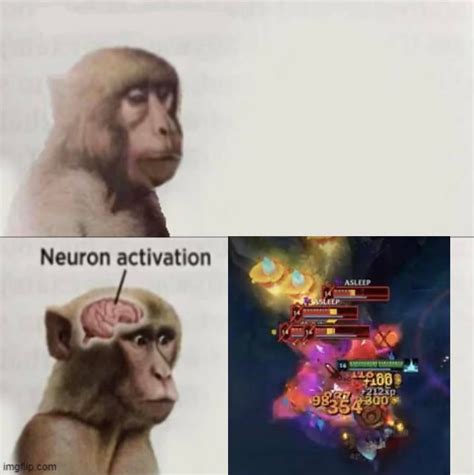 Reconstruction of Monkey Neuron Activation | We Want Science