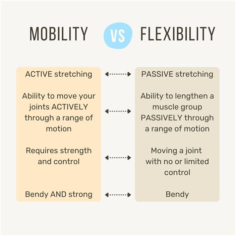 Mobility VS Flexibility — Shoshin Movement Studio