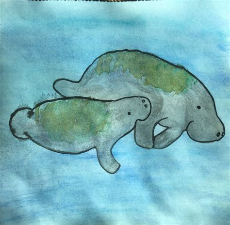 Sunday Sketch: Manatee Mammaries