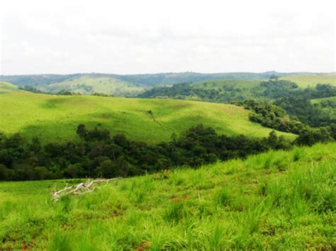 About Mondulkiri province | Absolute Cambodia