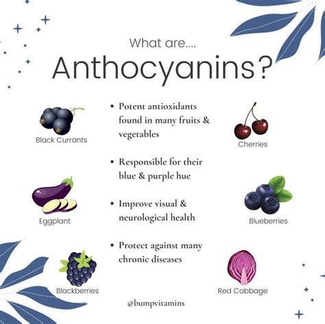 Anthocyanins Nutrition Info | Vitamins for women, Health facts ...