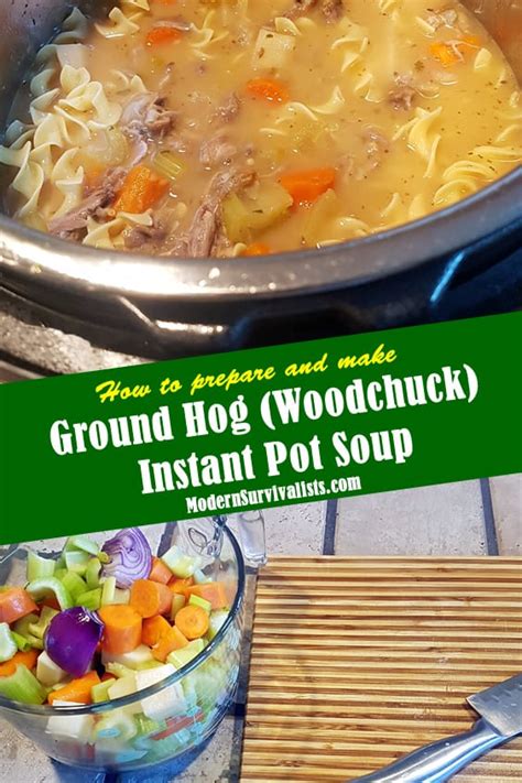 Groundhog Woodchuck Recipes | Besto Blog