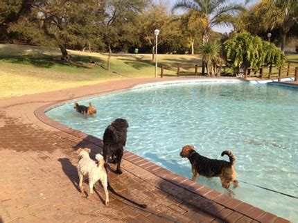 Zita Park | Pretoria for Dogs