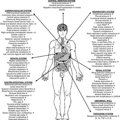 Impact of increased intra-abdominal pressure on end-organ function | Download Scientific Diagram