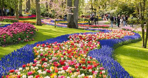 Keukenhof-Amsterdam - Make Your Travels