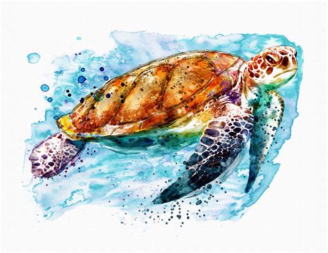 Painted seaturtle - apocommunity