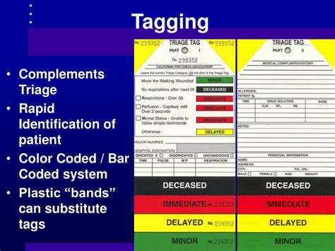 Triage Color Code System