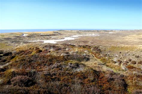 Badlands, Ecosystem, Shrubland, Escarpment Picture. Image: 113168558