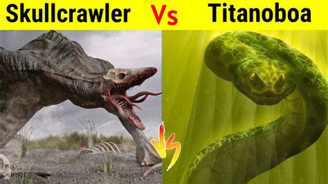 Titanoboa Vs King Kong