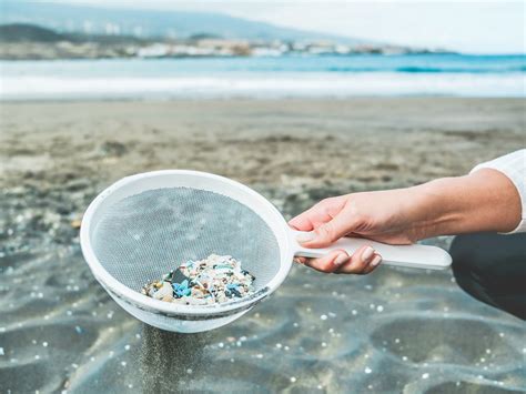 Ocean Microplastic Pollution May Outnumber Zooplankton Says New Study