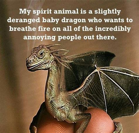 Dragon Quotes, Funny Quotes, Funny Memes, Dragon Artwork, Dragon ...