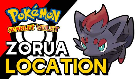 Pokemon Scarlet & Violet - Zorua Location - YouTube