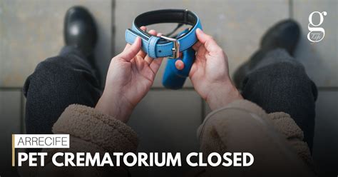 Pet crematorium closed - Gazette Life