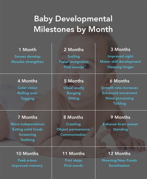 Baby Developmental Milestones – Guava Family