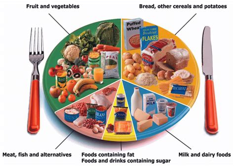 Food plate showing the types and amount of food groups for a healthy diet. | Download Scientific ...