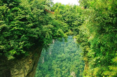 Top 20 Attractions and Things to do in Zhangjiajie | WindhorseTour