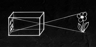 How a pinhole camera works - AlternativePhotography.com