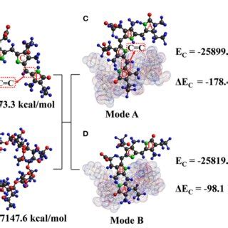 FIGURE E The energy-optimized molecular models of phycobilin, HP-β-CD ...