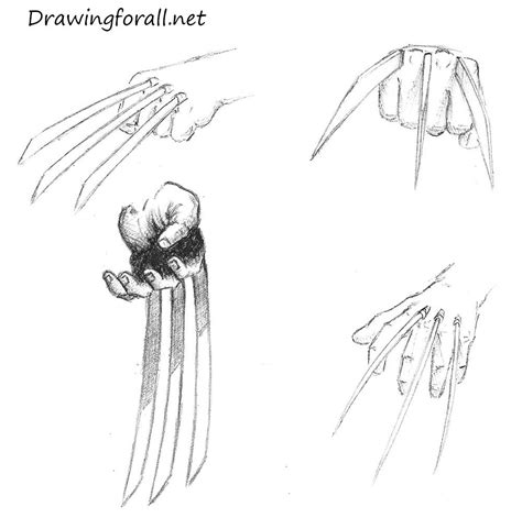 How to Draw Wolverine Claws http://www.drawingforall.net/how-to-draw ...