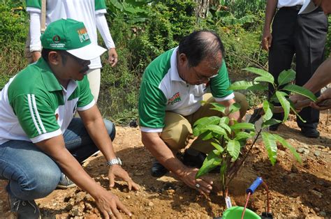 ARTIKEL Menanam Pohon | Manfaat Menanam Pohon|VIDEO MENANAM POHON ...