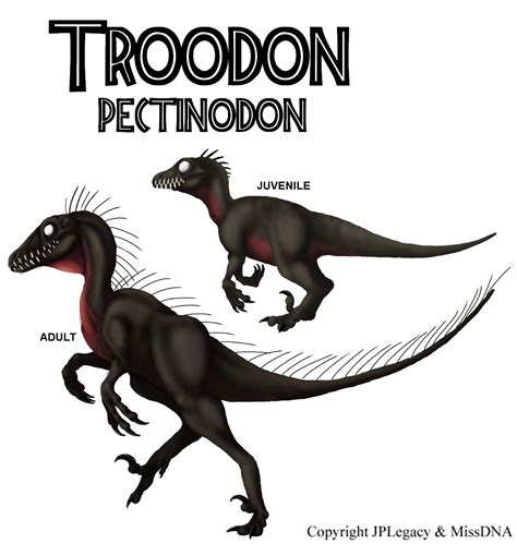 Troodon "pectinodon" | JPL Live the Legend Wiki | Fandom powered by Wikia