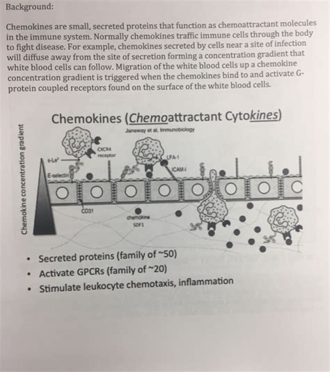 Background: Chemokines are small, secreted proteins | Chegg.com