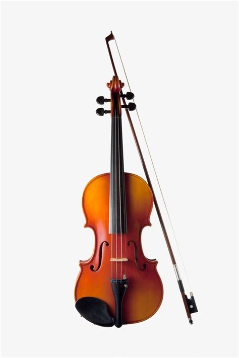 Musical Instrument White Transparent, Musical Instruments Violin ...